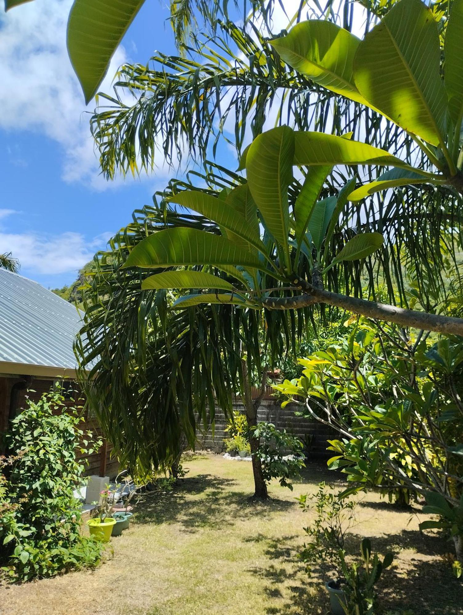 Tema'E Beach House Temae Экстерьер фото